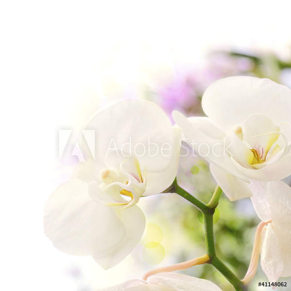  артикул 10047436