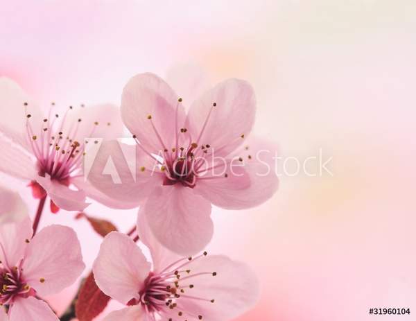  артикул 10047619