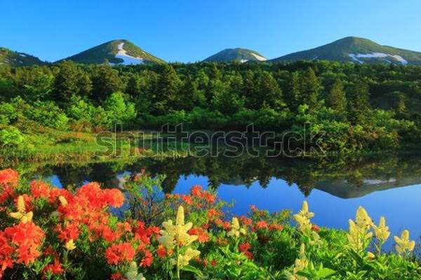  артикул 10047649
