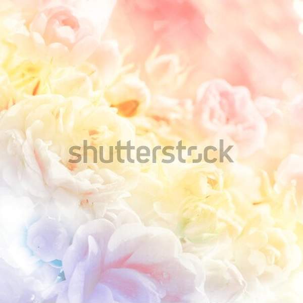  артикул 10047801