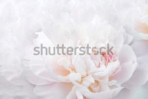  артикул 10047799
