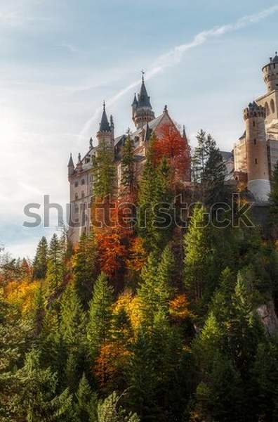  артикул 10047839