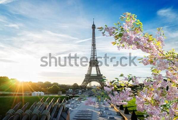  артикул 10048252