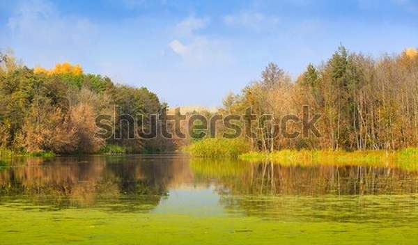 артикул 10048356