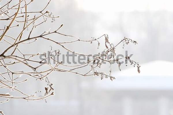  артикул 10048329