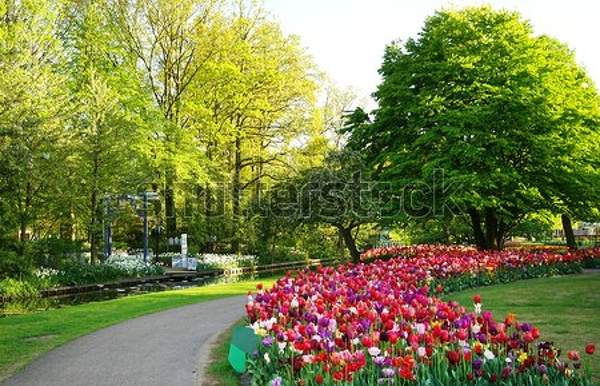  артикул 10048416