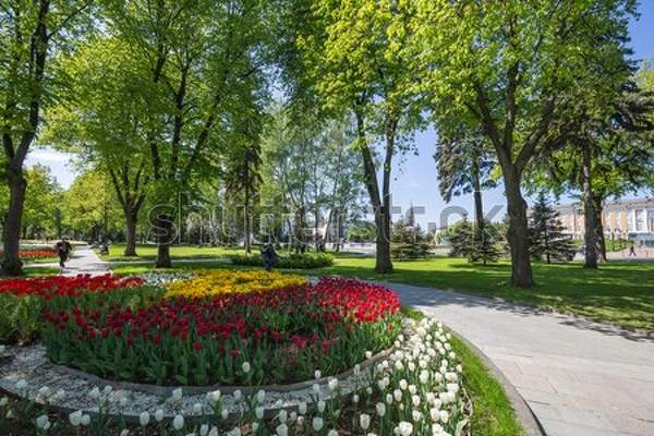  артикул 10048419