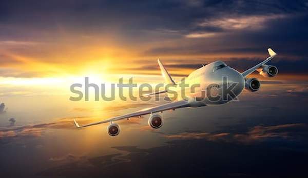  артикул 10048541