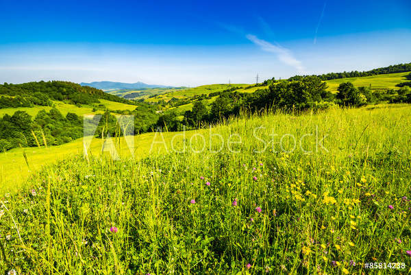  артикул 10048604