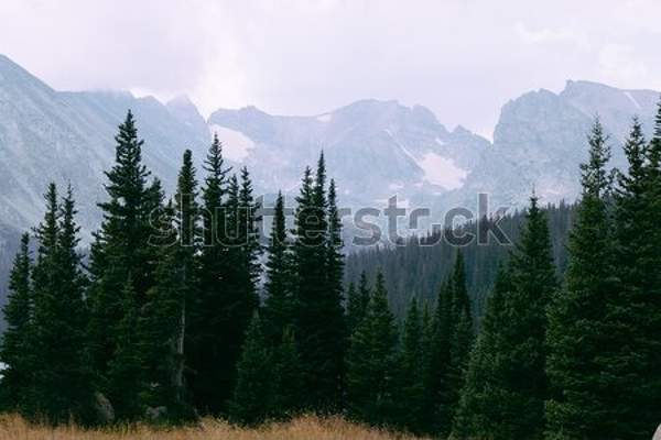  артикул 10048719