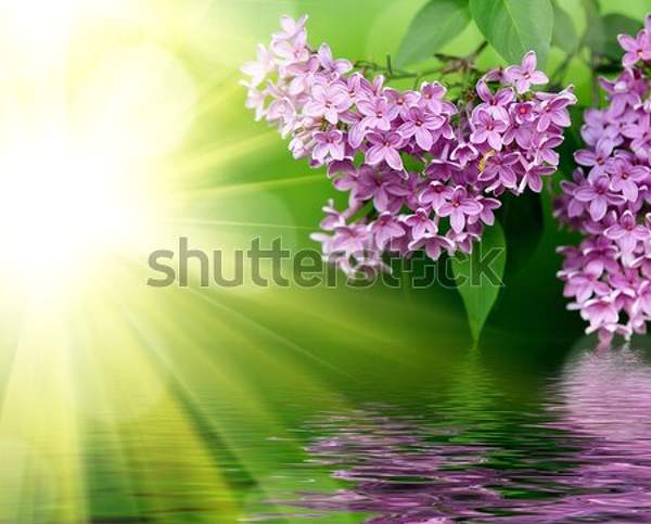  артикул 10048736