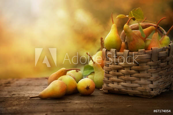  артикул 10048783
