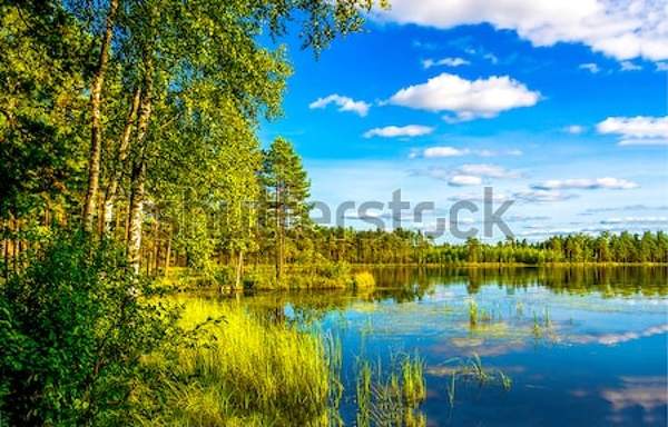  артикул 10048810