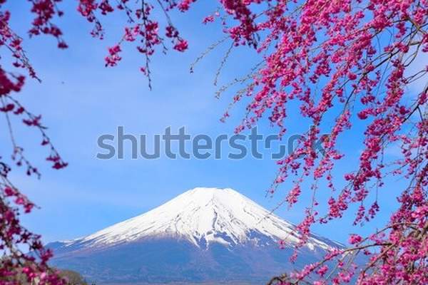  артикул 10049021