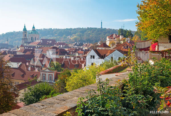  артикул 10049018