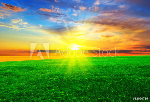  артикул 10049185