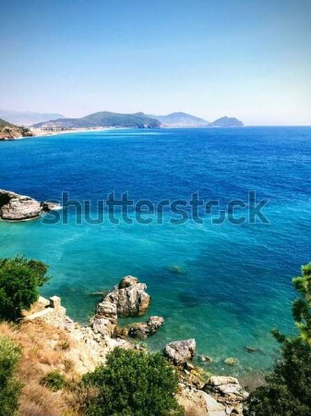  артикул 10049299