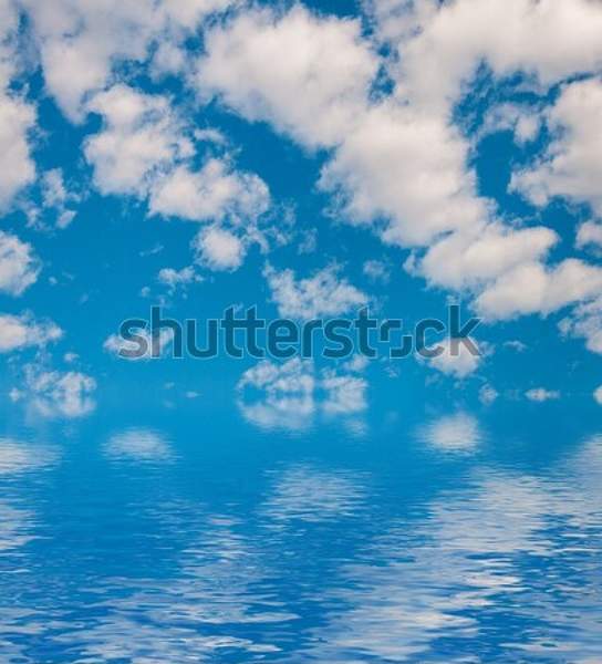  артикул 10049296