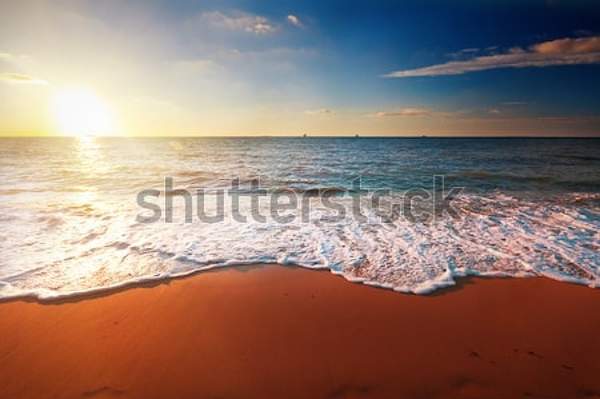  артикул 10049374