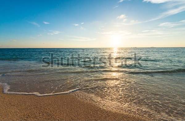  артикул 10049381