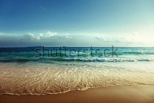  артикул 10049377