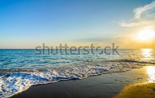  артикул 10049380