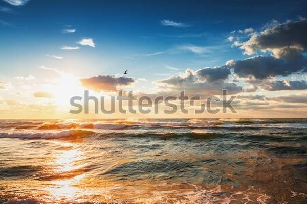  артикул 10049378