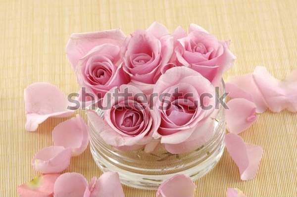  артикул 10049699