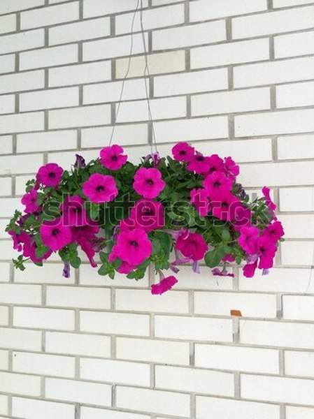  артикул 10049743