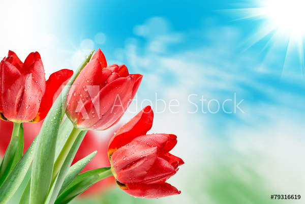  артикул 10049801