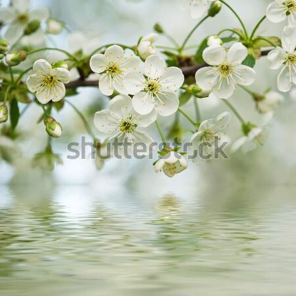  артикул 10049850