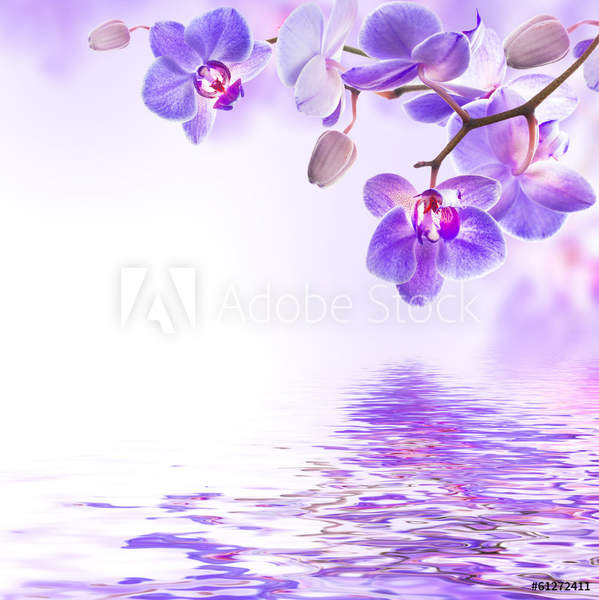  артикул 10049896