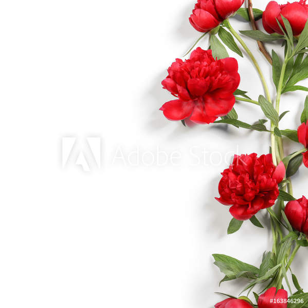  артикул 10049911