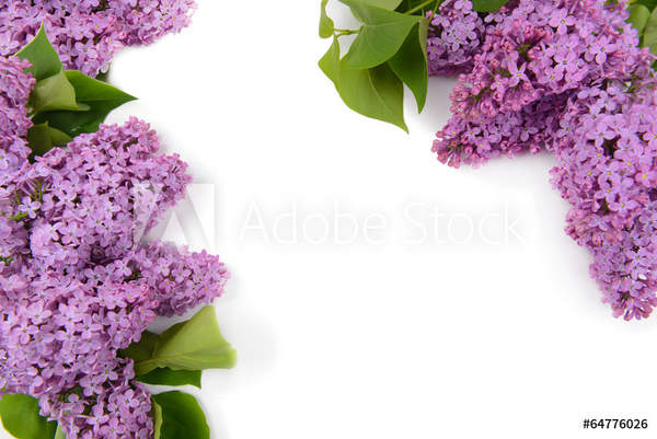  артикул 10049922
