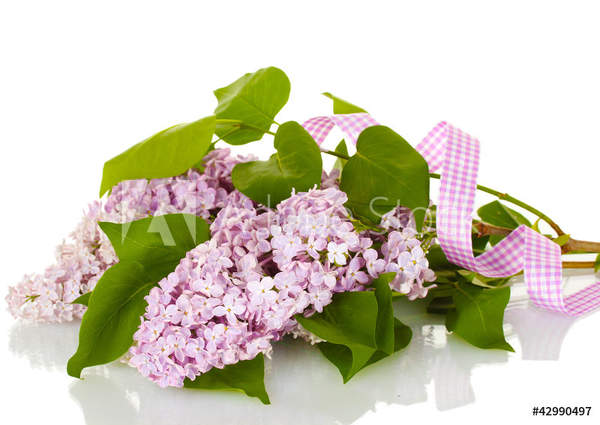 артикул 10049926