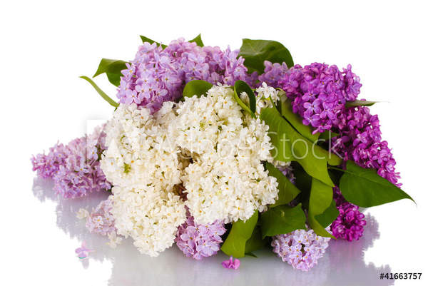  артикул 10049920