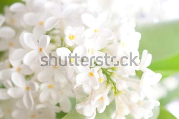  артикул 10049918