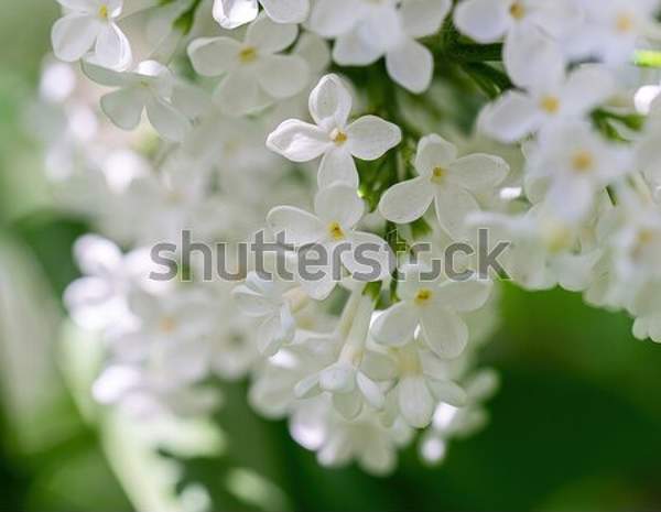  артикул 10049917
