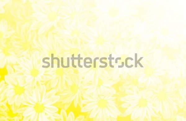  артикул 10050083