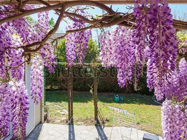  артикул 10050341