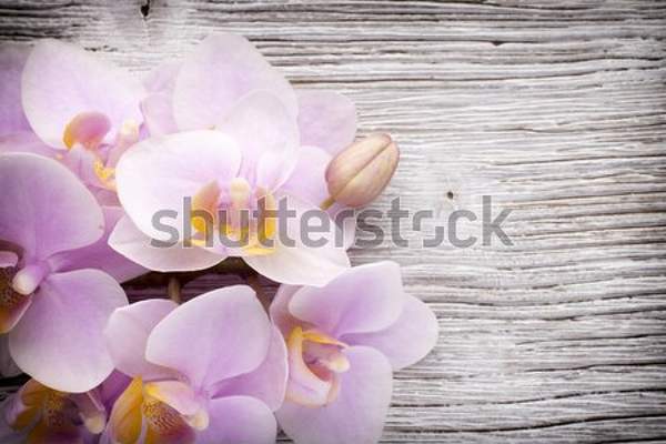  артикул 10050372