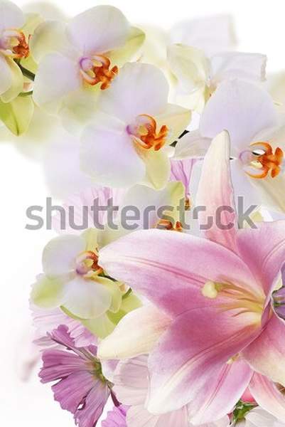  артикул 10050368