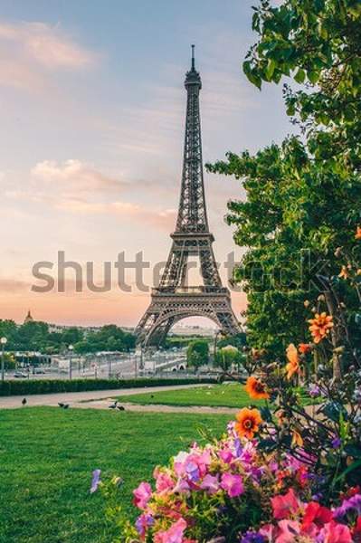  артикул 10050437