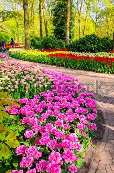  артикул 10050626