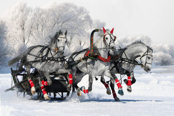 Тройка лошадей (зимний пейзаж) артикул 10050739