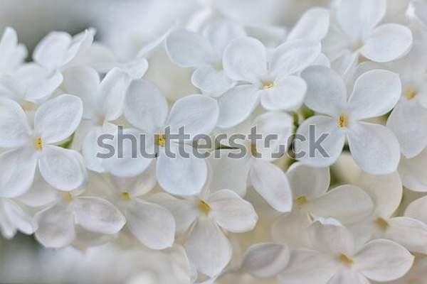  артикул 10050882