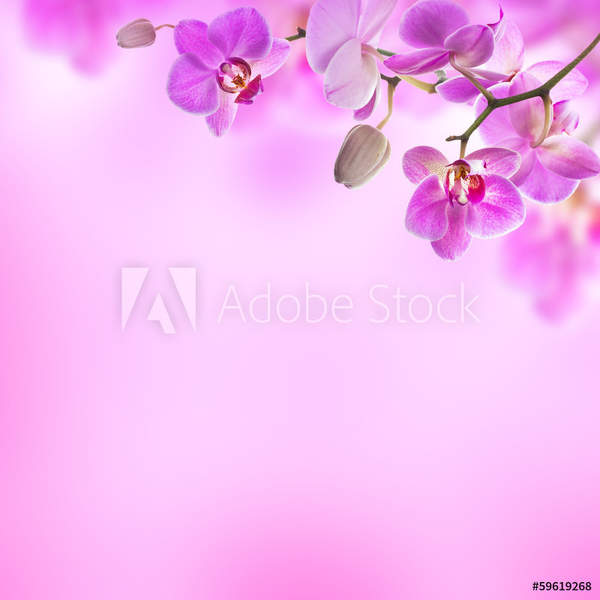 артикул 10050909