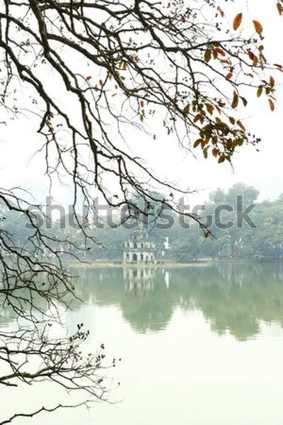  артикул 10050959