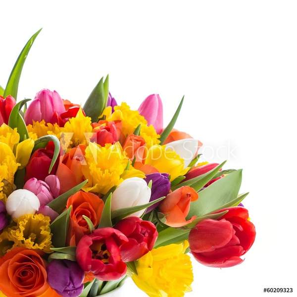  артикул 10051033