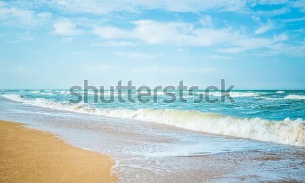  артикул 10051375